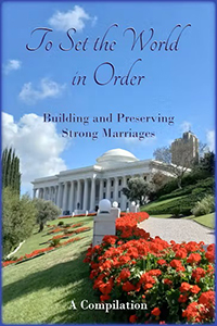 To Set the World in Order (eBook - ePub)