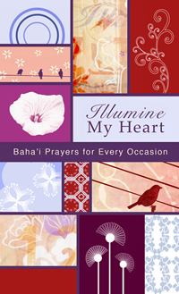 Illumine My Heart (eBook-ePub)