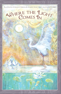 Where the Light Comes In